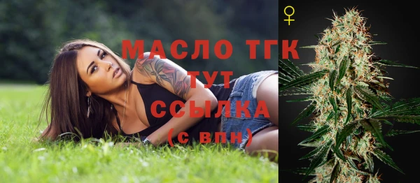 эйфоретик Ветлуга