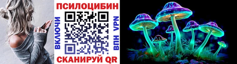 Галлюциногенные грибы Psilocybe  Алупка 